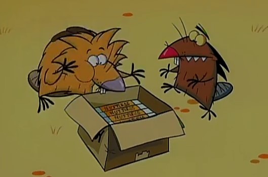 Крутые бобры