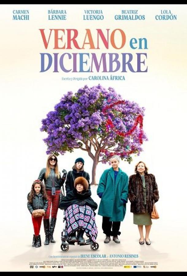 Лето в декабре