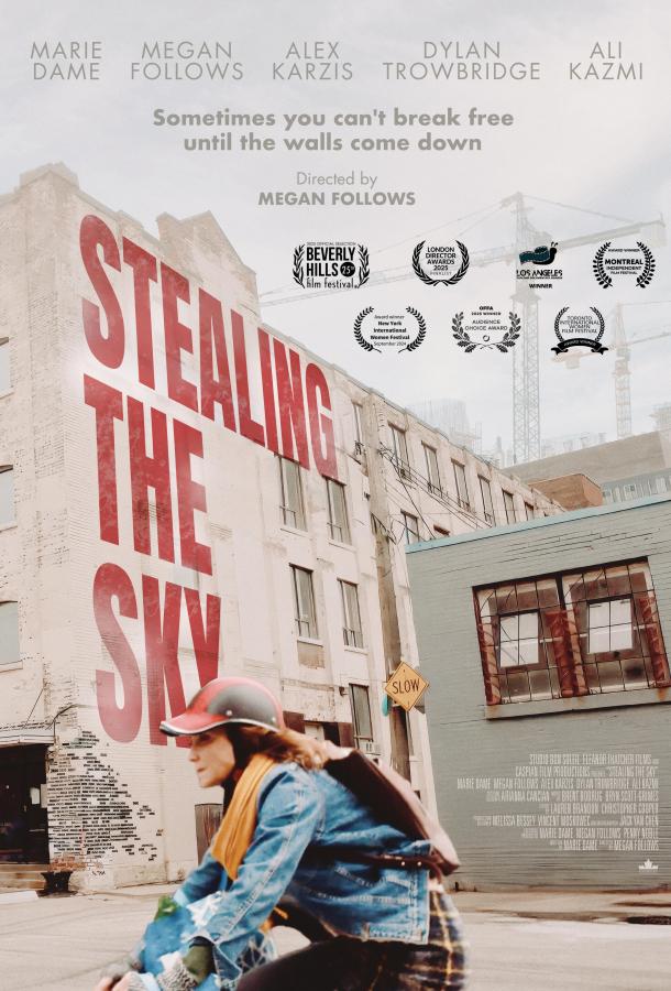 Крадущие небо